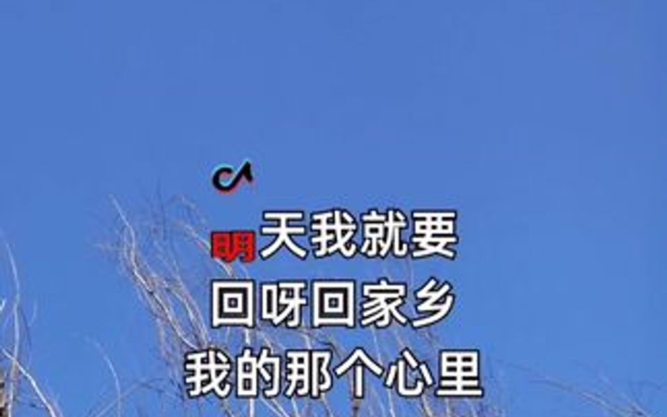 明天就要回家了,我会想你们的