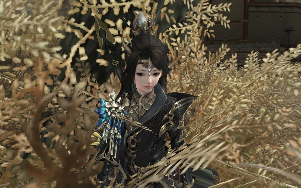 剑网三 苍云纯小白教学视频 徒弟 你是全村的希望啊