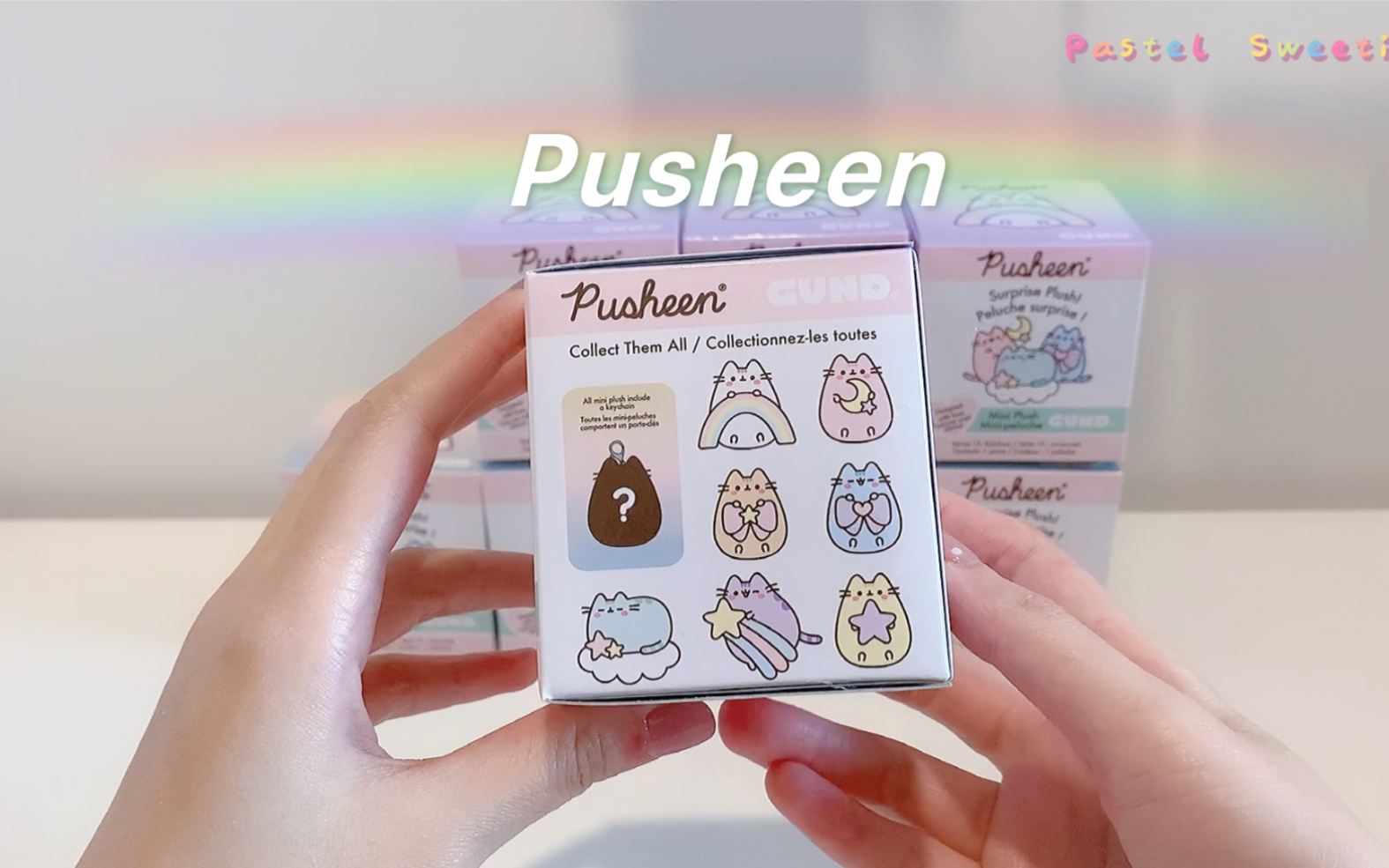 【pusheen】永不服输第n集～胖吉猫彩虹系列盲盒第二拆～_哔哩哔哩