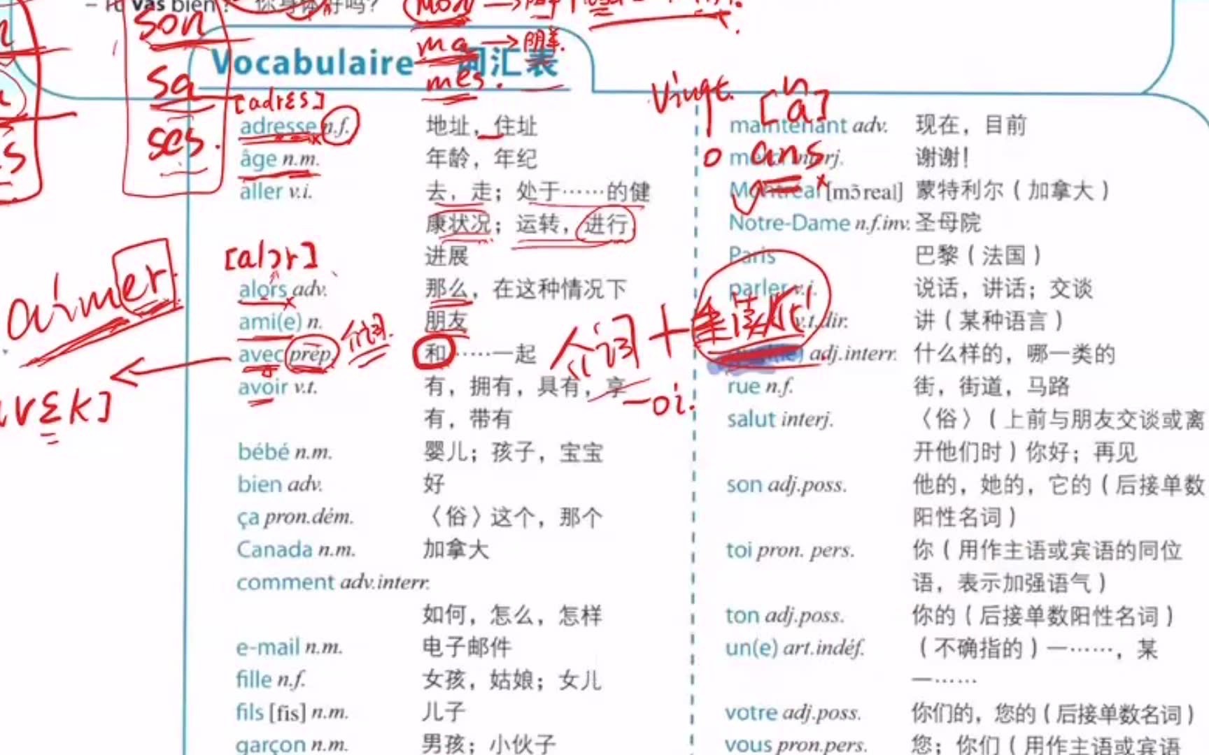 1038.【A1】入门动词Avoir 精讲【法语词汇】【法语语法】哔哩哔哩bilibili