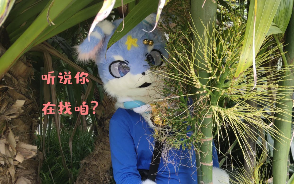 Furry公园?(九龙公园出毛小聚)哔哩哔哩bilibili