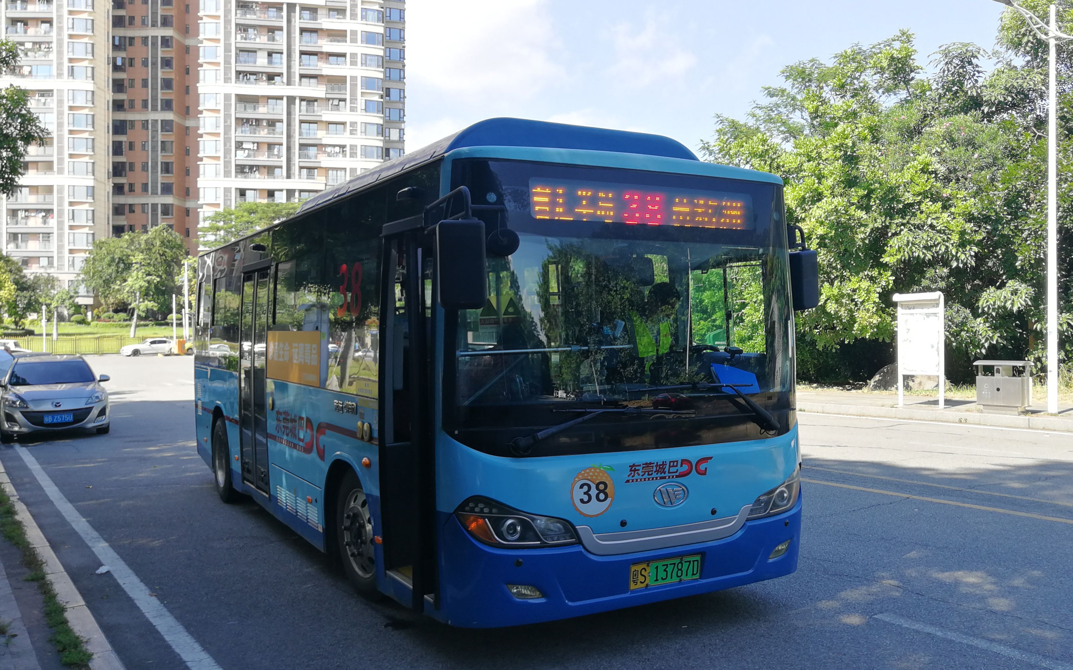【公交pov】东莞城巴38路 君汇半岛-汽车总站区间 前面展望