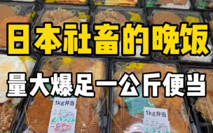 Tải video: 日本1公斤便当挑战！850日元量大饱满，炸鸡可乐饼汉堡肉吃到爽！！