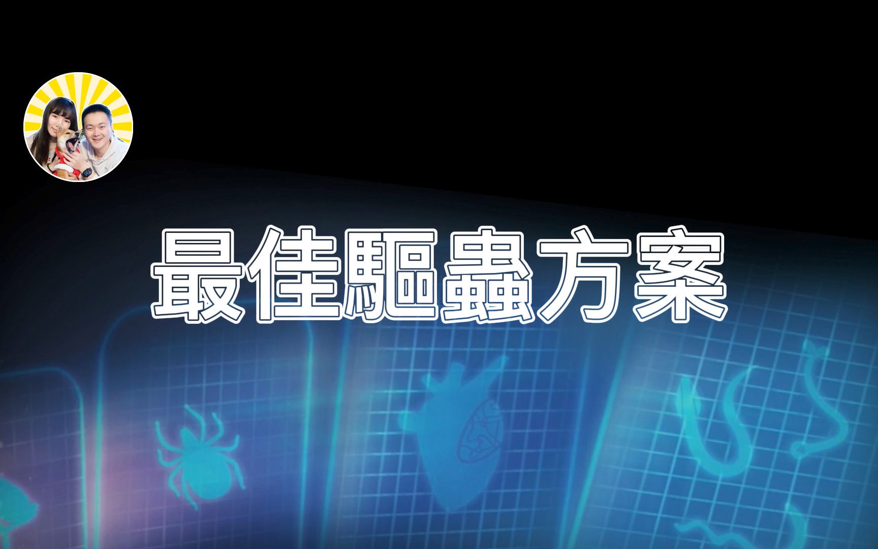 狗狗最佳驱虫方案 | 百毒不侵再也不用担心狗子出去野拉哔哩哔哩bilibili