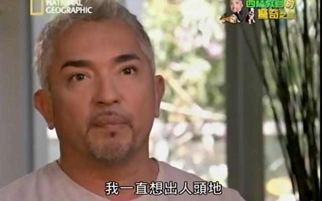 中文字幕《狗语者 Dog Whisperer with Cesar Millan》西萨教官的惊奇之旅哔哩哔哩bilibili