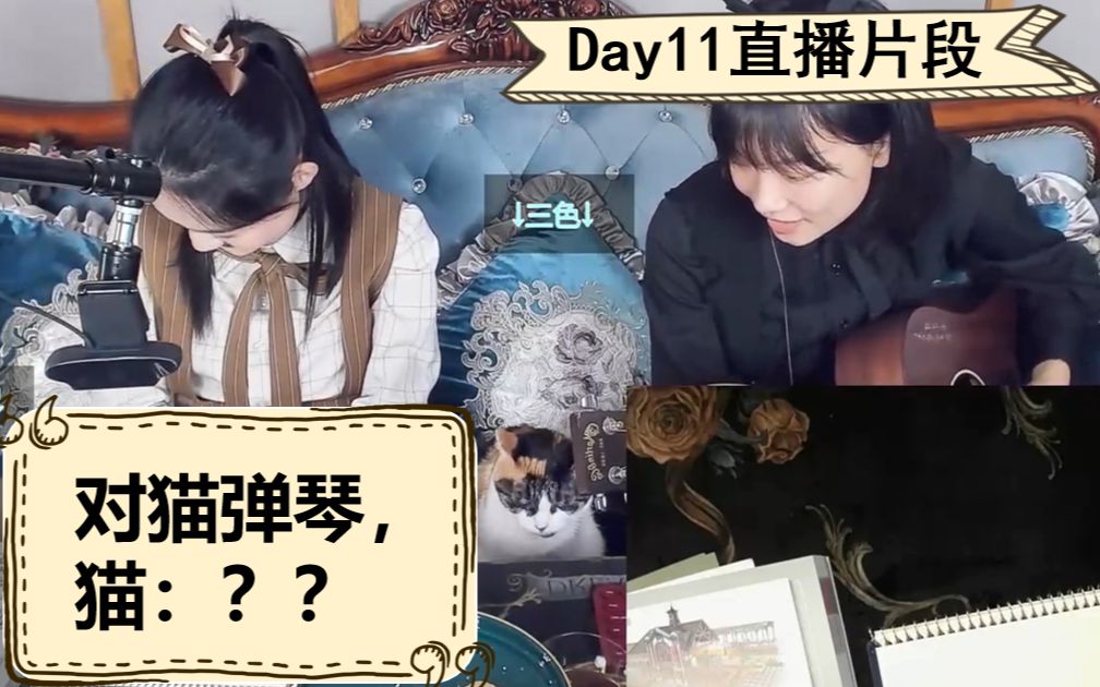 [图]对着三色即兴的夜兔兔【血兔の茶会】Day11直播录屏片段