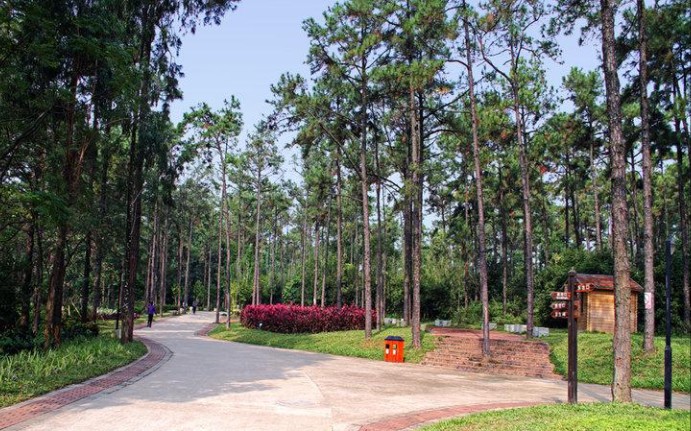 金山植物公园历年日记