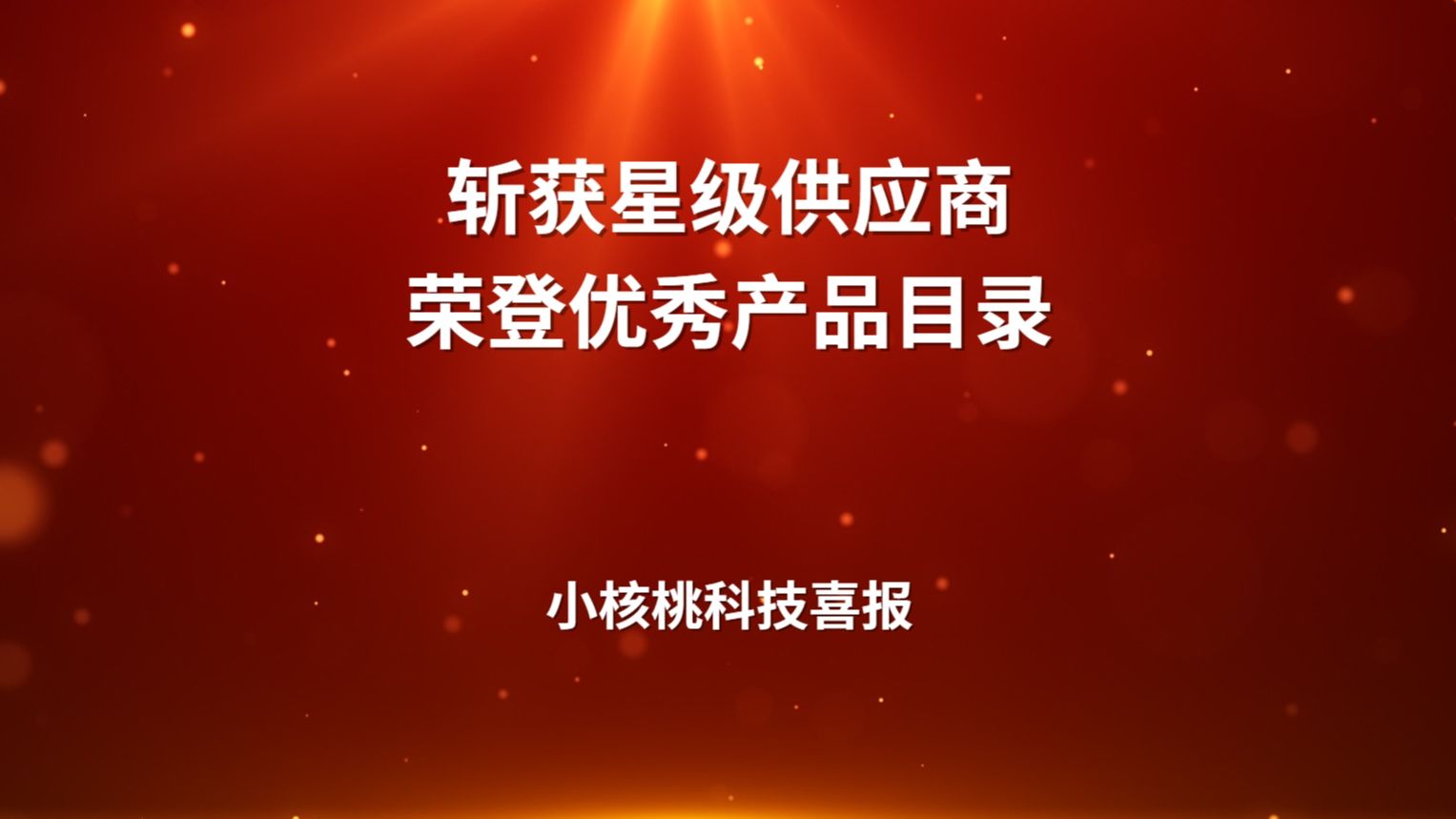 小核桃科技斩获2024年中国元宇宙星级供应商哔哩哔哩bilibili