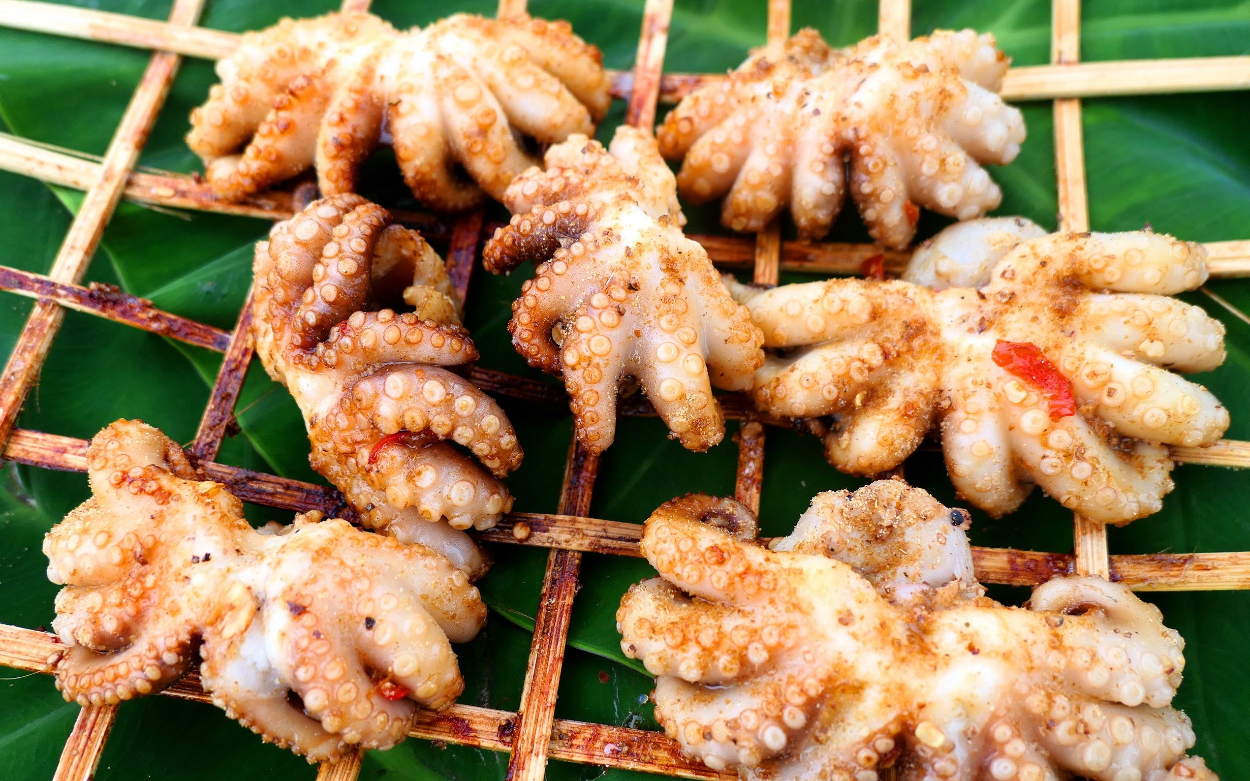 【探野】一口一个香辣小章鱼,八爪鱼烤起来真好吃,配点饮料太爽了