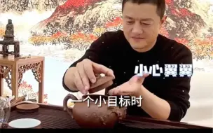 Descargar video: 如果你有这样一把紫砂壶，你舍得用它泡茶吗？