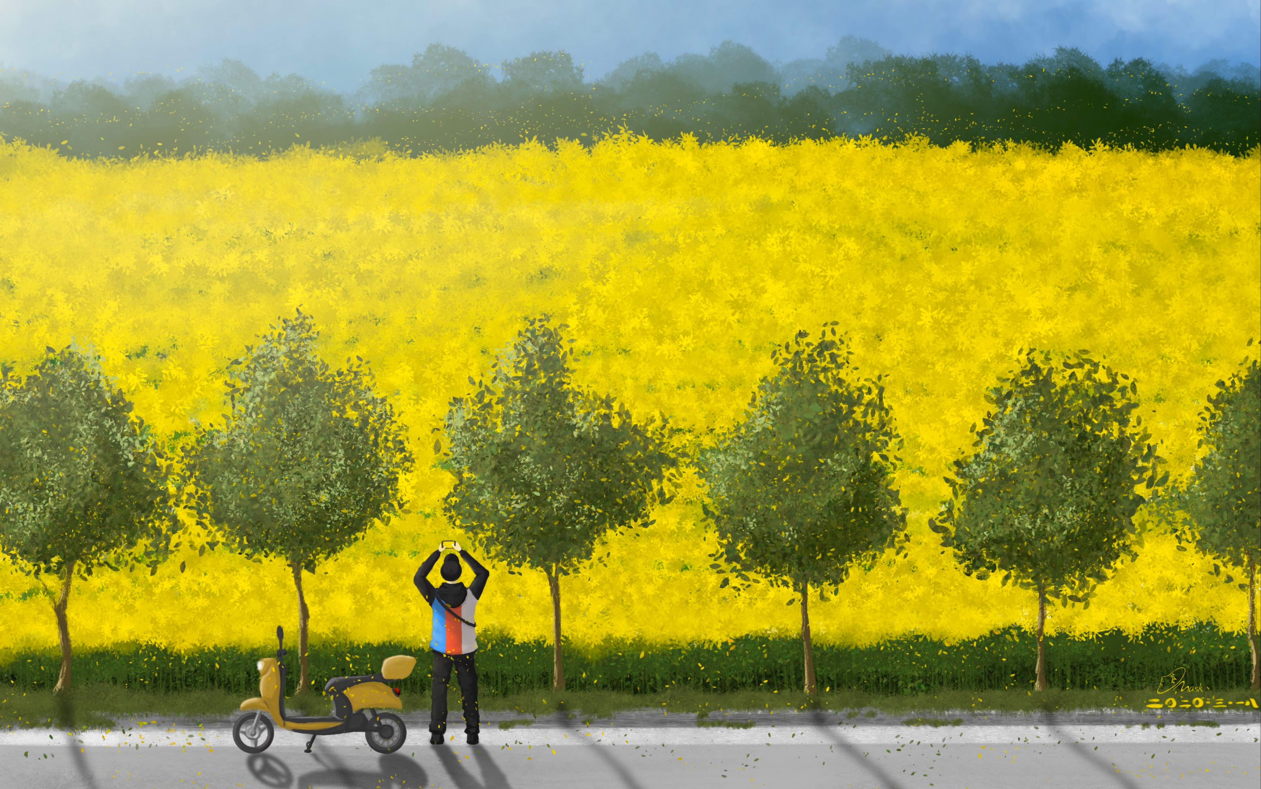 [procreate](ipad绘画)春天来了,去看油菜花吧