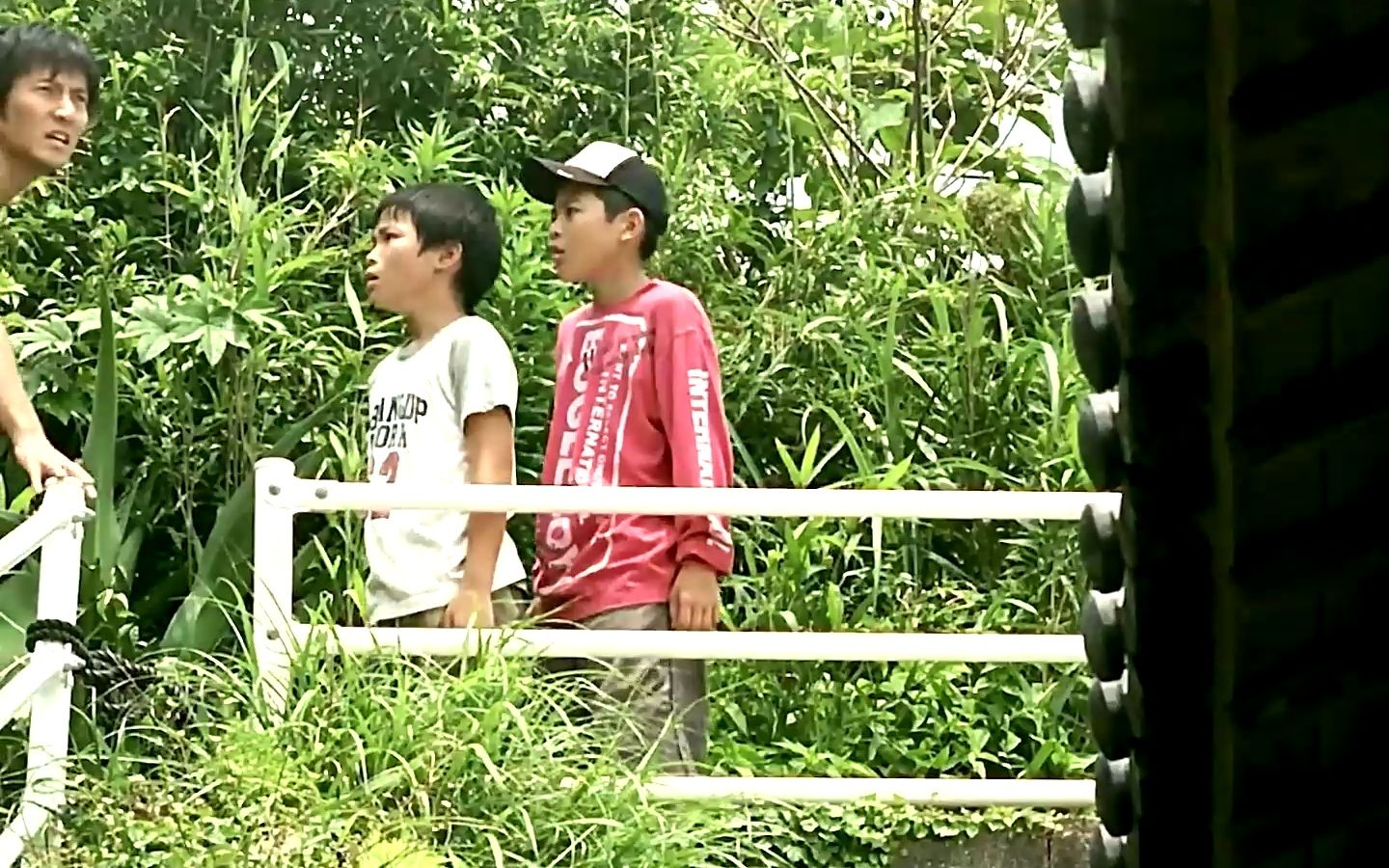 奇幻片《小勇者加美拉》治愈 #我的观影报告#治愈