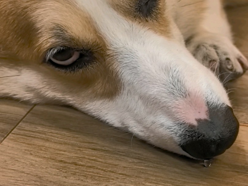 鼻涕要掉下来了