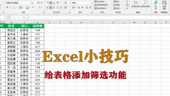 excel小技巧：给表格添加筛选功能，升职加薪系列
