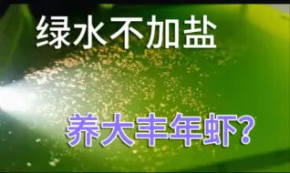 Descargar video: 不加盐能养大丰年虾？后续来了，我怀疑是鱼友上当了