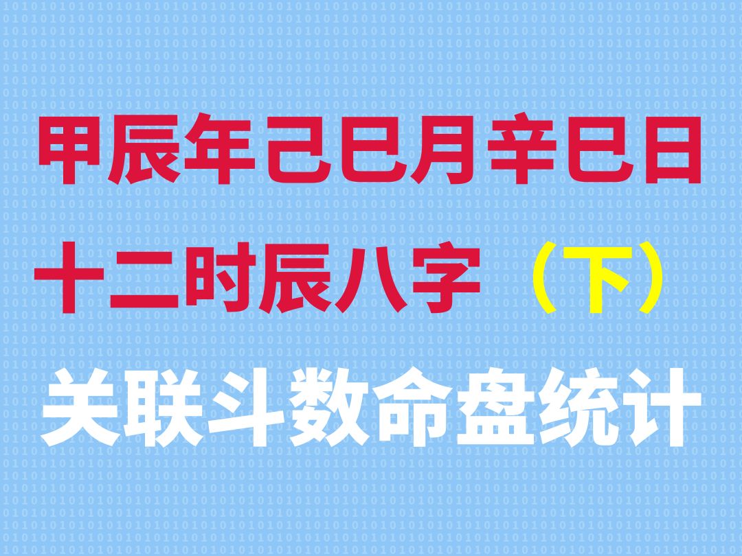 甲辰年己巳月辛巳日十二时辰八字关联斗数命盘统计(下集)哔哩哔哩bilibili