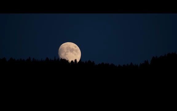 【白噪音】轻柔音乐 | 树叶沙沙声 | 河水流淌 | 烤火声 |哔哩哔哩bilibili