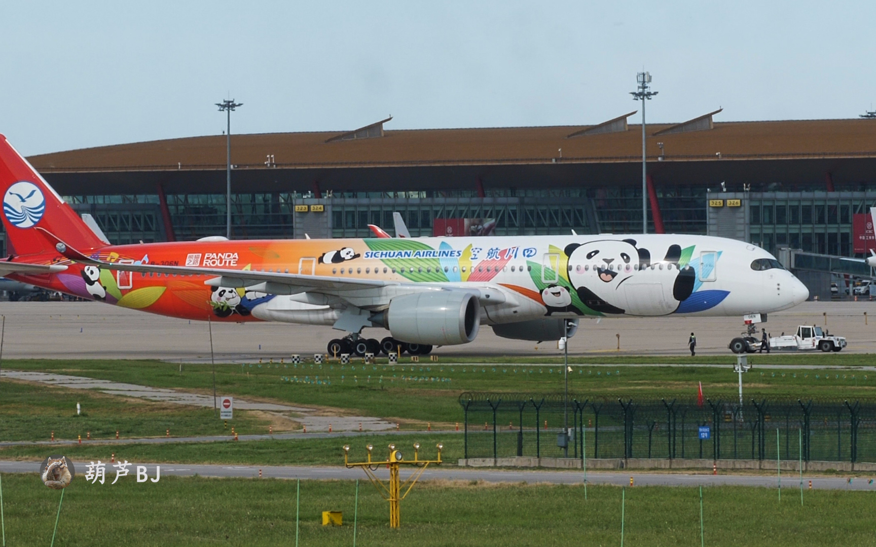 北京首都机场,实拍四川航空a350熊猫彩绘机,起飞降落全过程