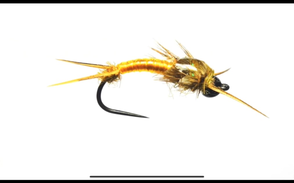 [图]Little Yellow Sloan Stonefly Nymph Fly Tying Instructions