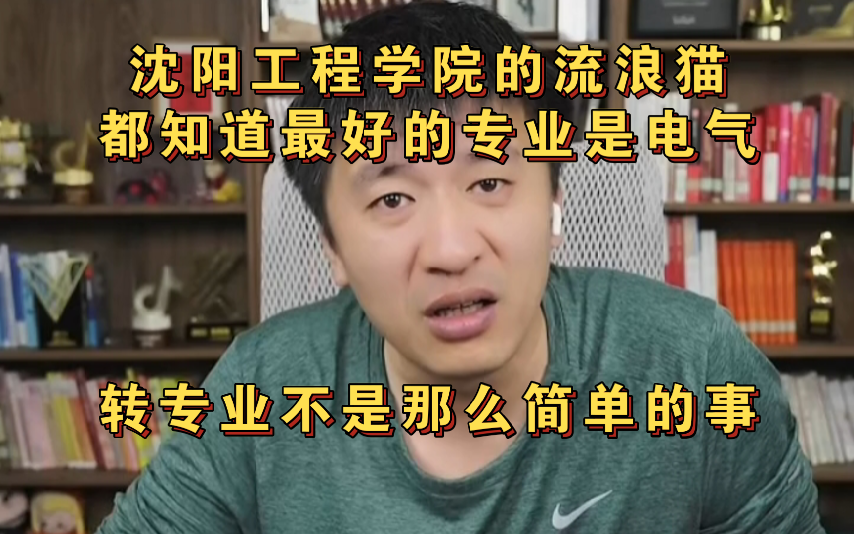 沈阳工程学院的流浪猫都知道最好的专业是电气哔哩哔哩bilibili