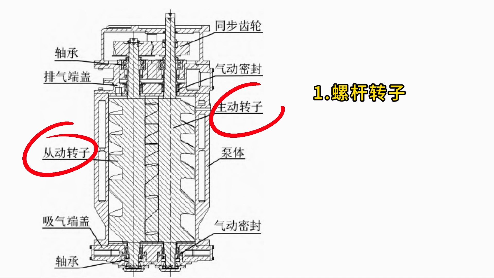 分泵排气螺丝图解图片