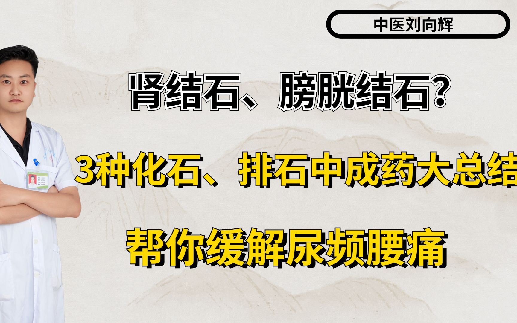 肾结石,膀胱结石?3种化石 排石中成药大总结,帮你缓解尿频腰痛哔哩哔哩bilibili