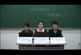 北大学标模拟联合国 流程演示