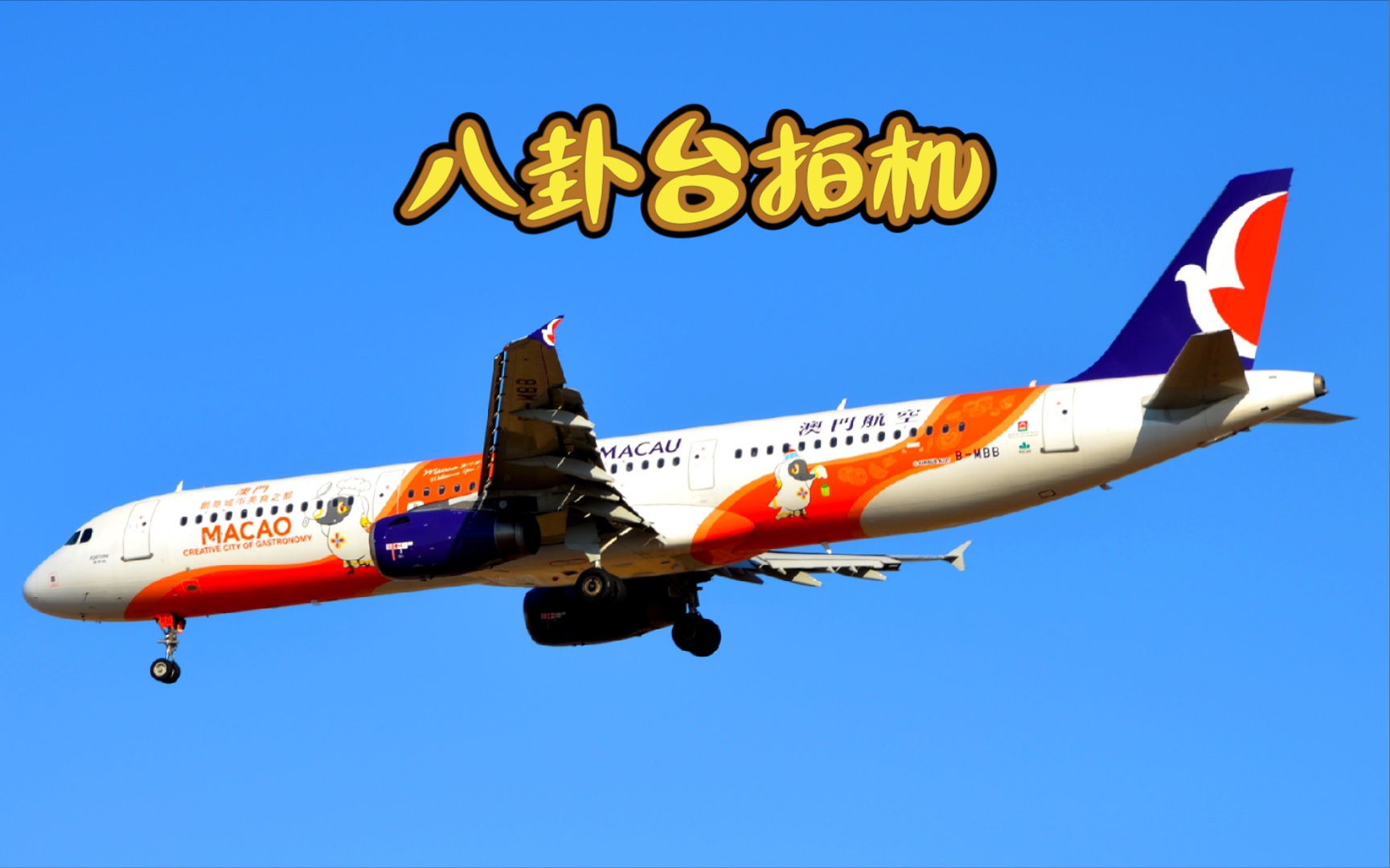 17 正月初六 pek 北京首都国际机场 八卦台拍机集锦_哔哩哔哩 (゜-゜)