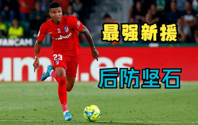 【Tackles & Blocks】雷尼尔多2022年精彩防守表现哔哩哔哩bilibili