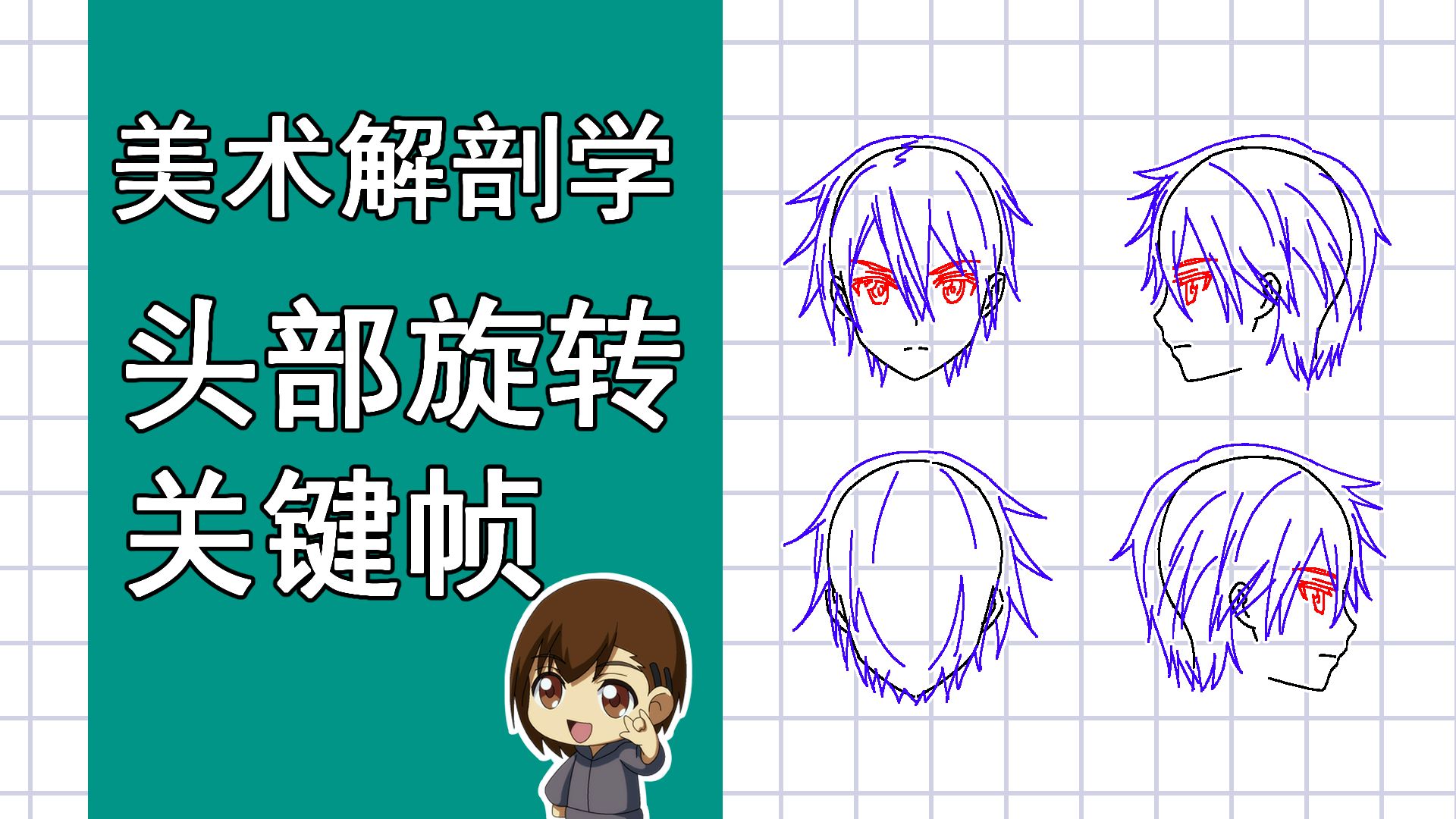 美术解剖学-34-头部旋转关键帧绘制思路
