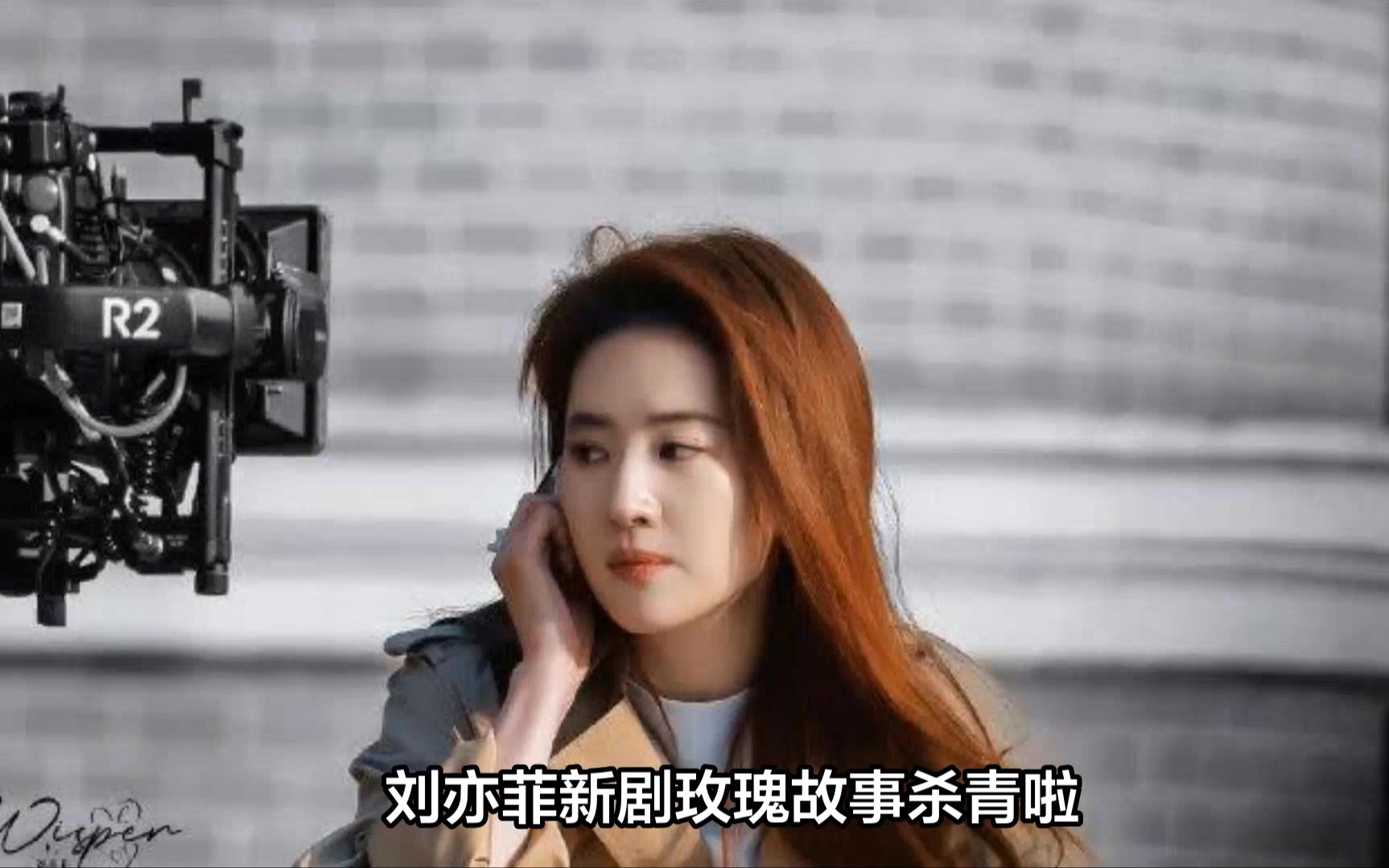 刘亦菲新剧玫瑰故事杀青啦!