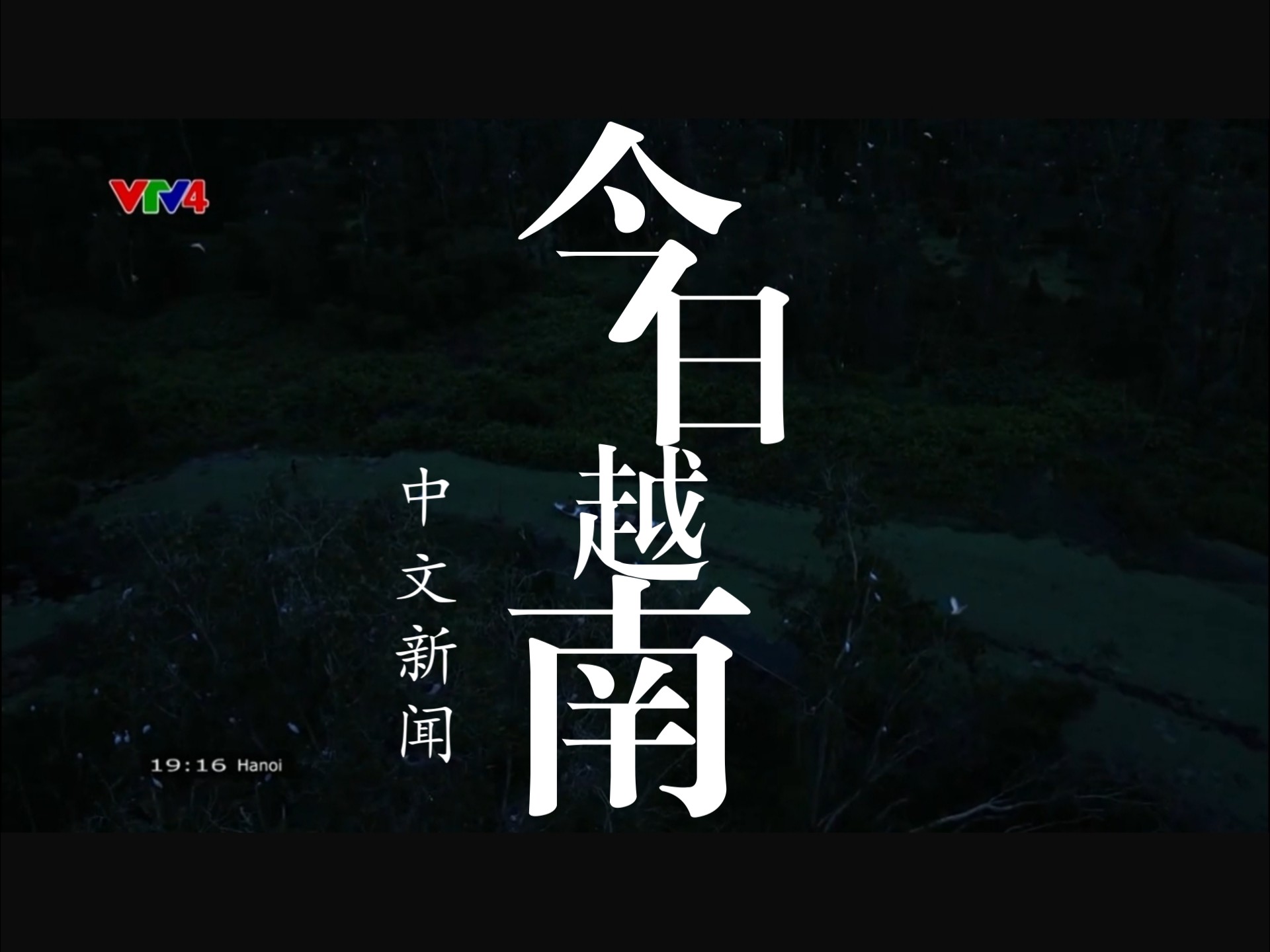 越牛新闻最新消息(越牛新闻app下载二维码)