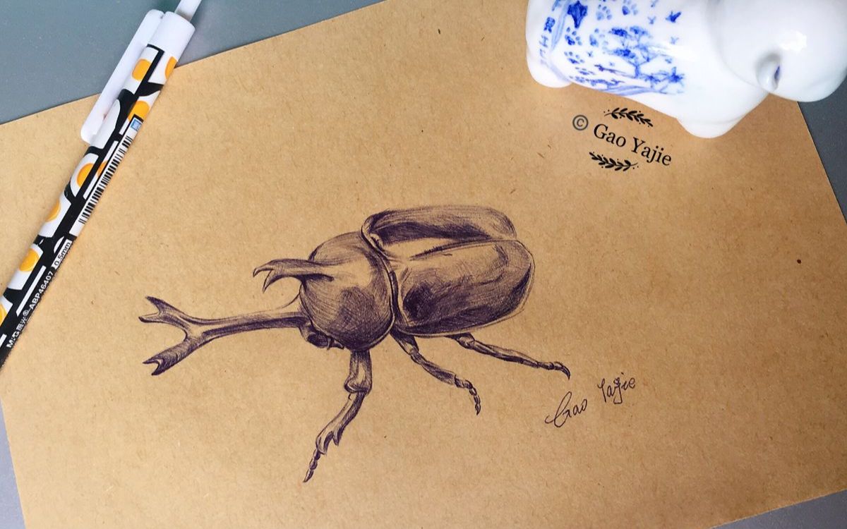 圆珠笔手绘周末随笔可爱的独角仙