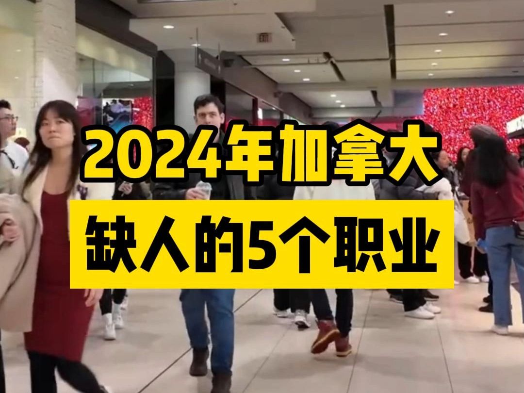 2024年加拿大紧缺行业有哪些?这5个职业需求量大....哔哩哔哩bilibili