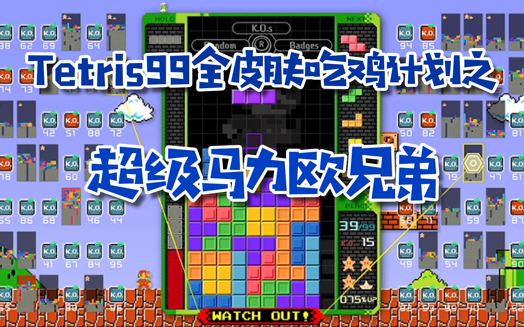 [图]Tetris99全皮肤吃鸡计划-超级马里欧兄弟