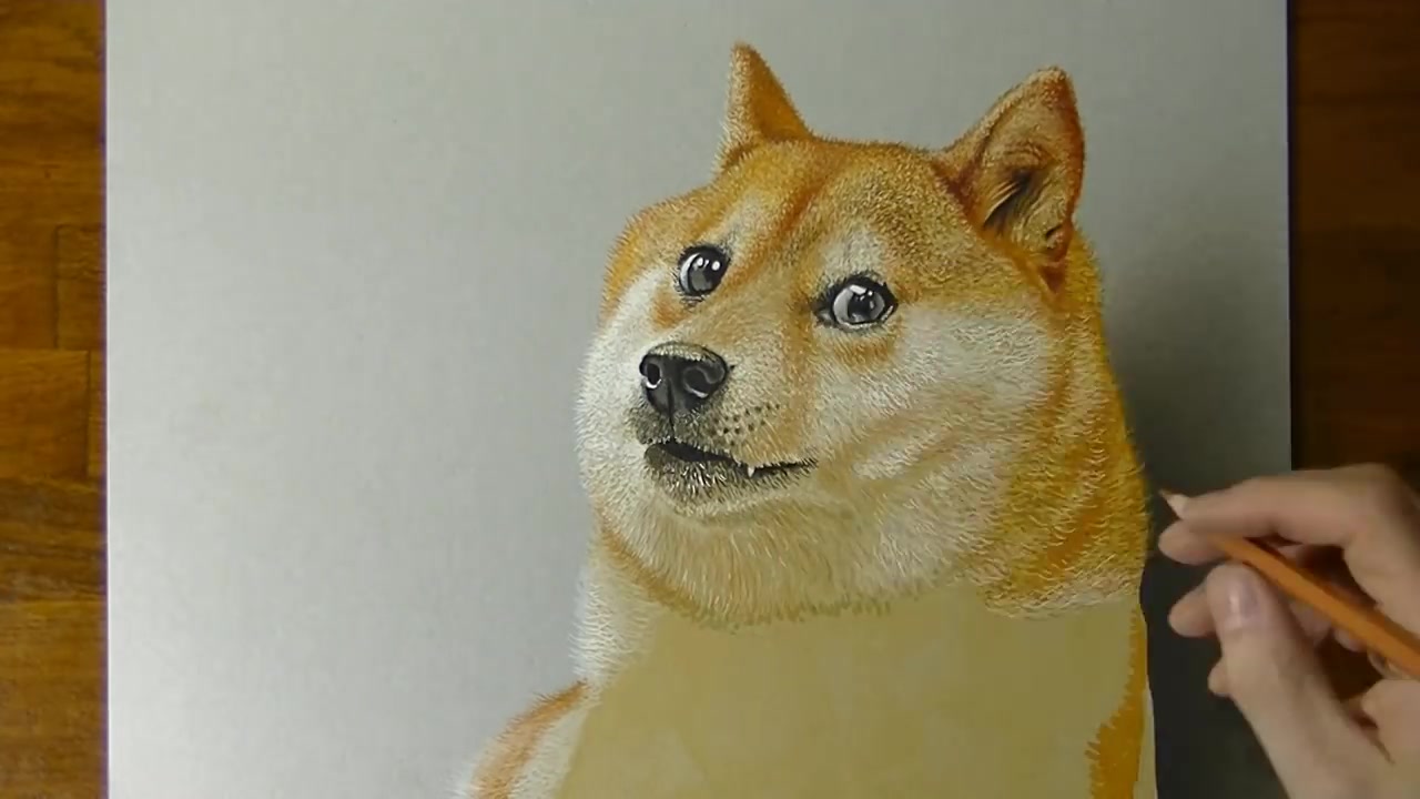 画doge,doge,doge,这是一个有图片的标题