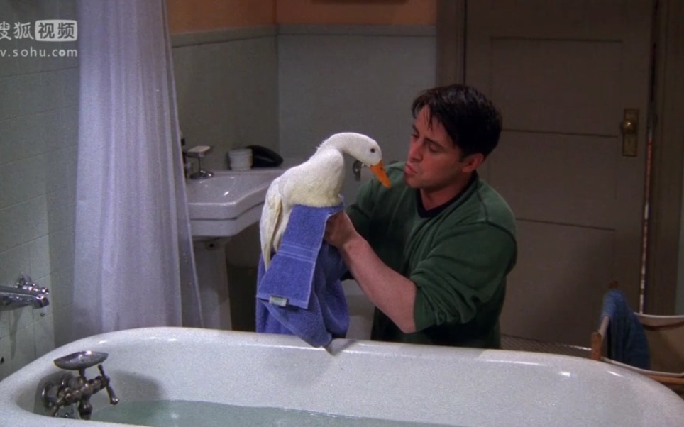 【老友记】joey和阿鸭! 阿鸡阿鸭真是可爱的宠物!