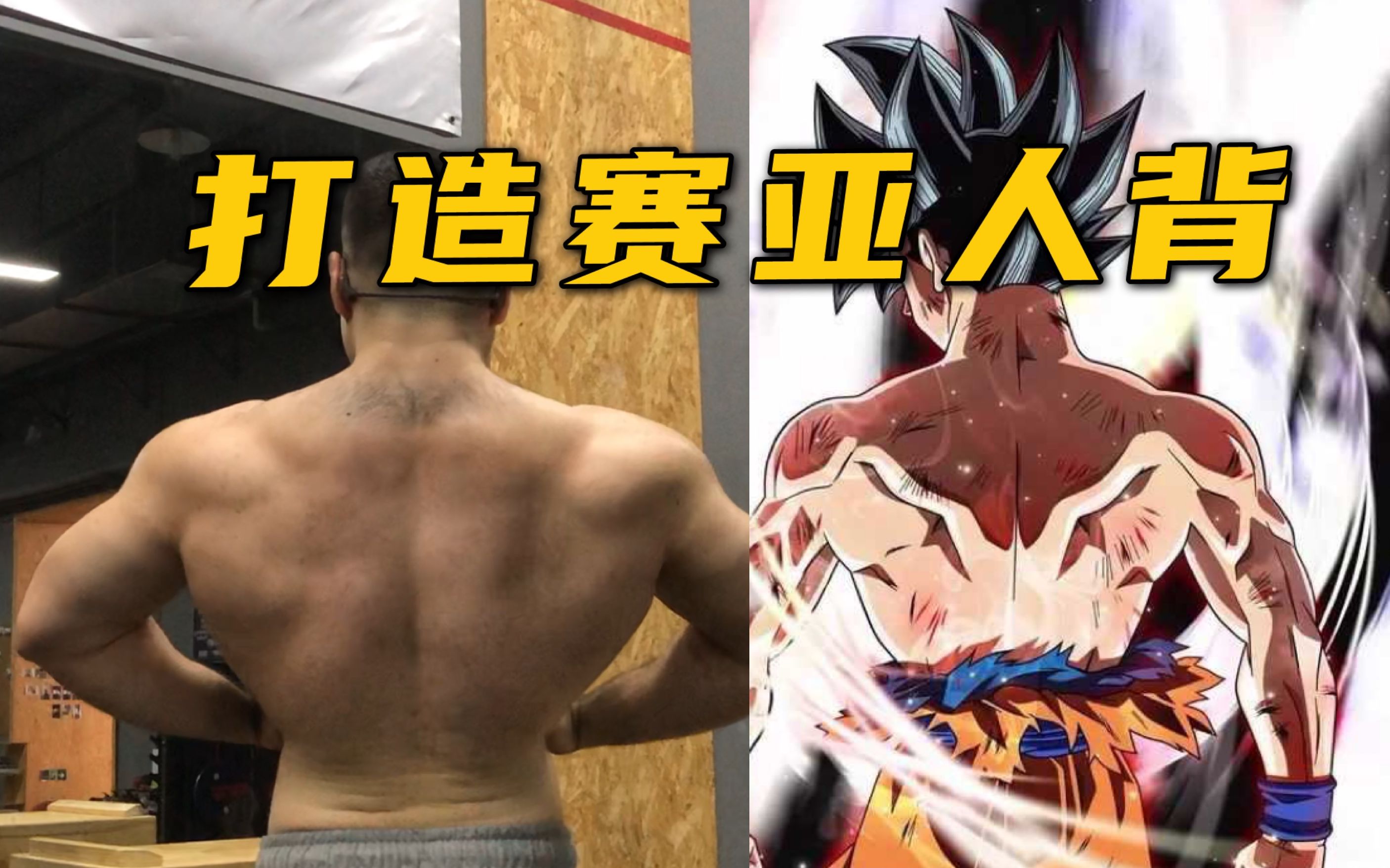 赛亚人改造计划—后背