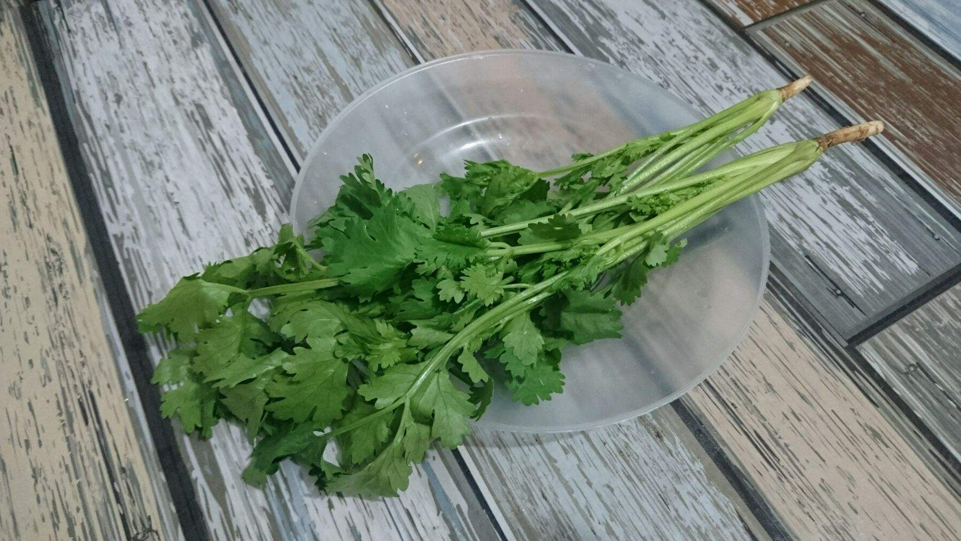 香菜治雀斑 B站