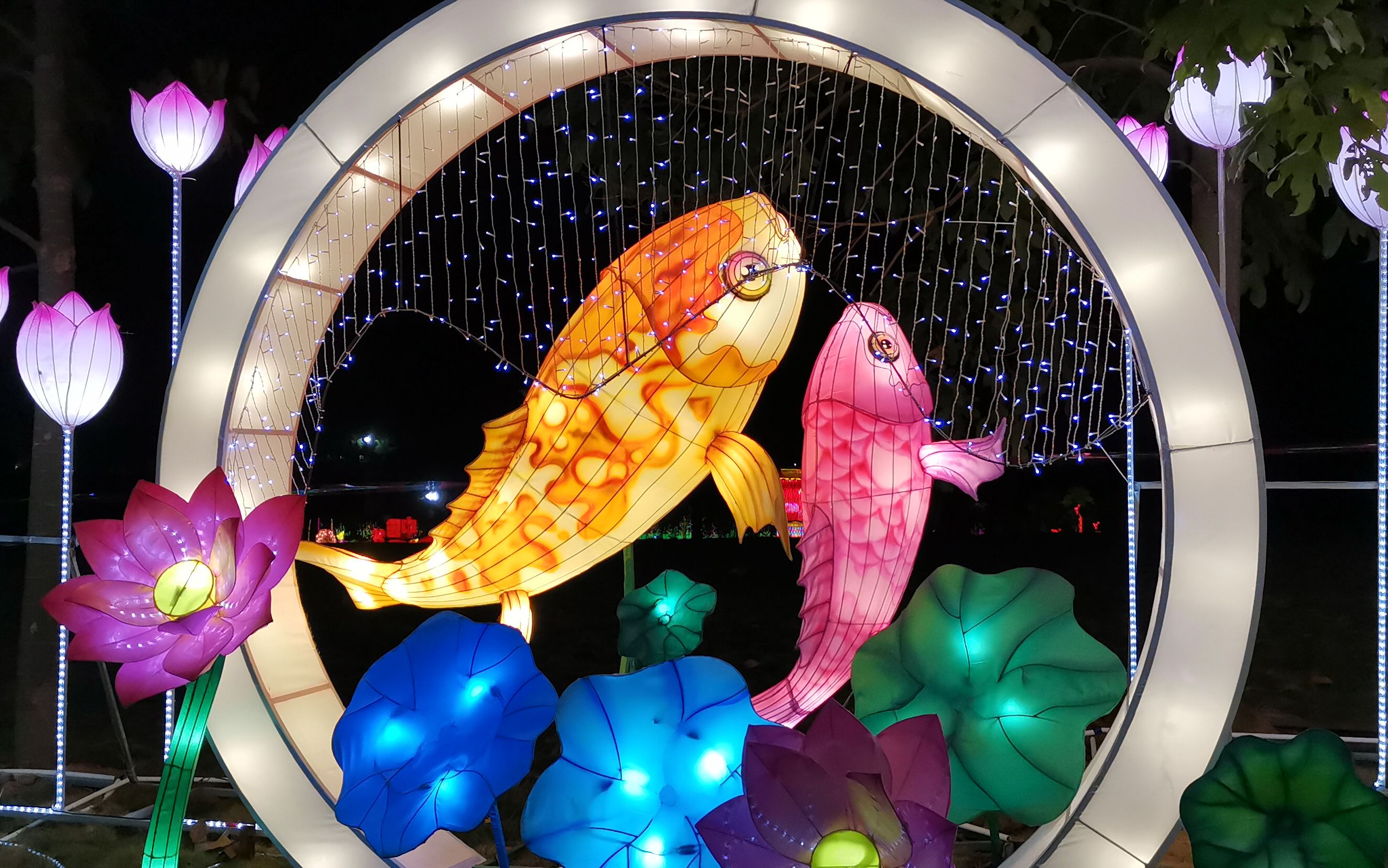 南宁青秀山花灯节(35元门)票值不值得去看呢?