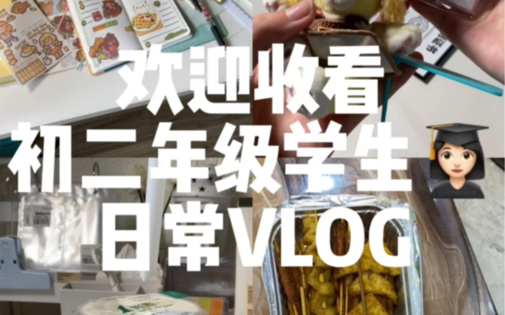 初二年级学生日常VLOG哔哩哔哩bilibili