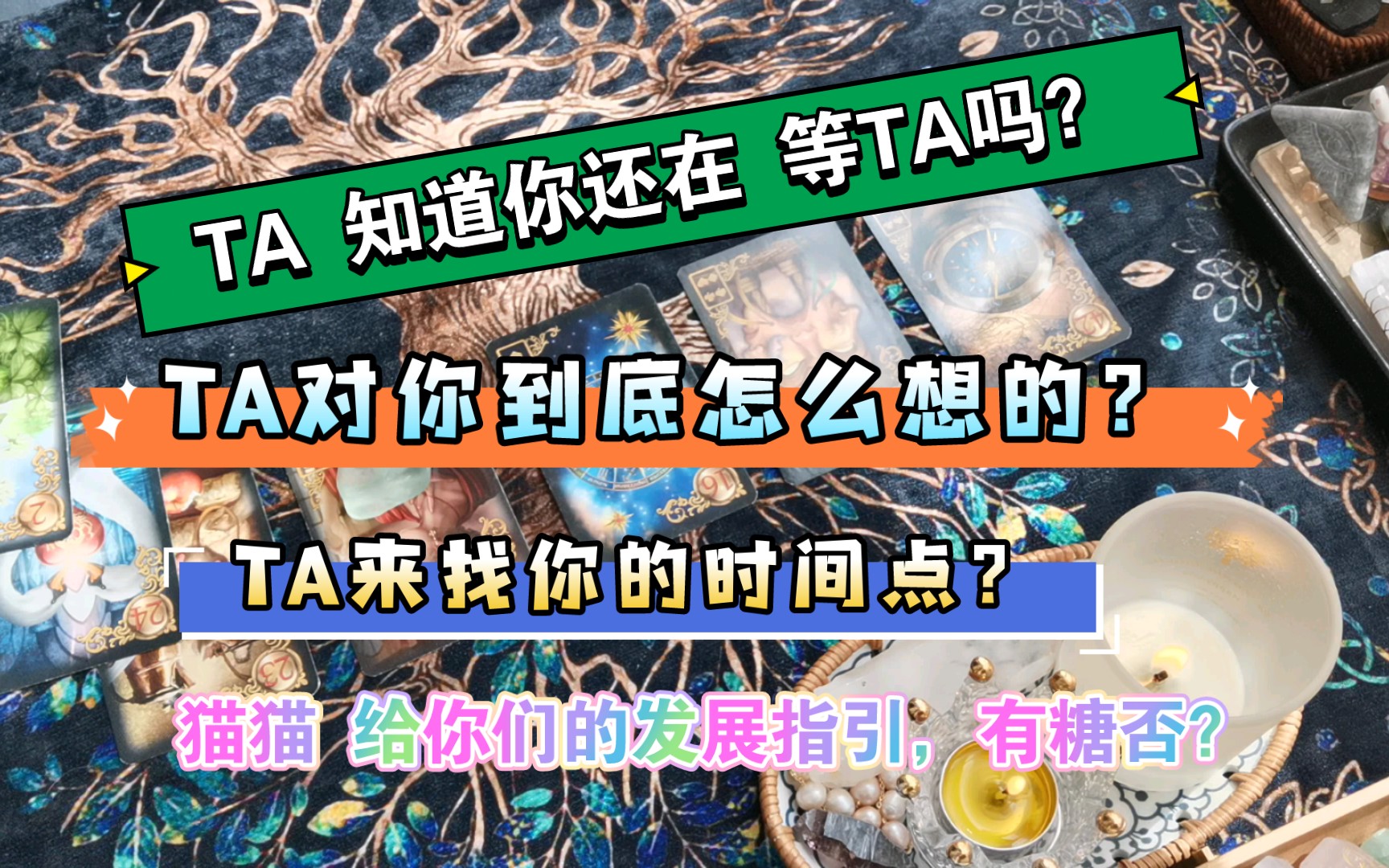 【旧人:分手、断联、卡顿关系】TA知道你还在等他吗?| TA对你的真实想法如何?(你对TA又是怎么想的?)|未来的发展如何?(我家猫猫 给到你们的“...