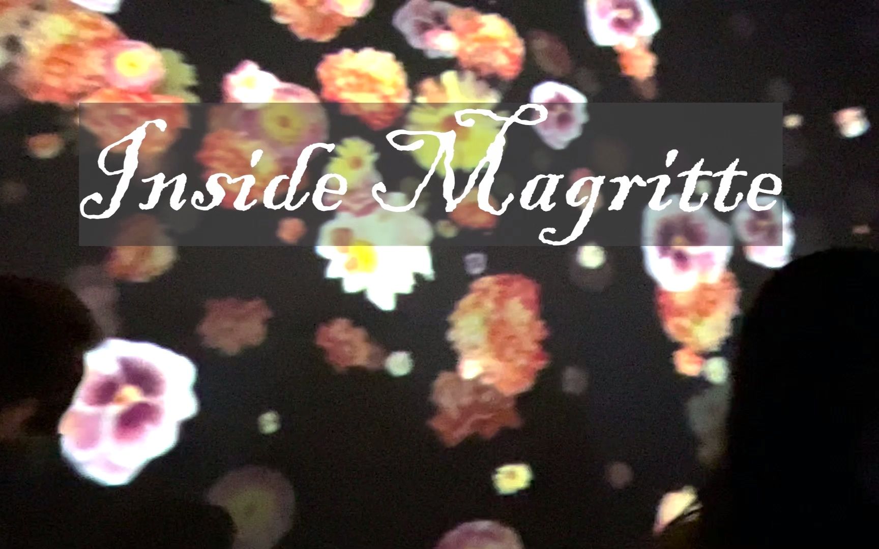 列日(Liege)美术馆 | inside Magritte | 戴黑帽的男人 | 雷内ⷩ鬦 𜥈駉𙮐‹哔哩哔哩bilibili