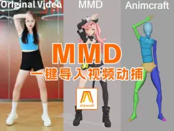 Download Video: MMD一键导入视频动捕