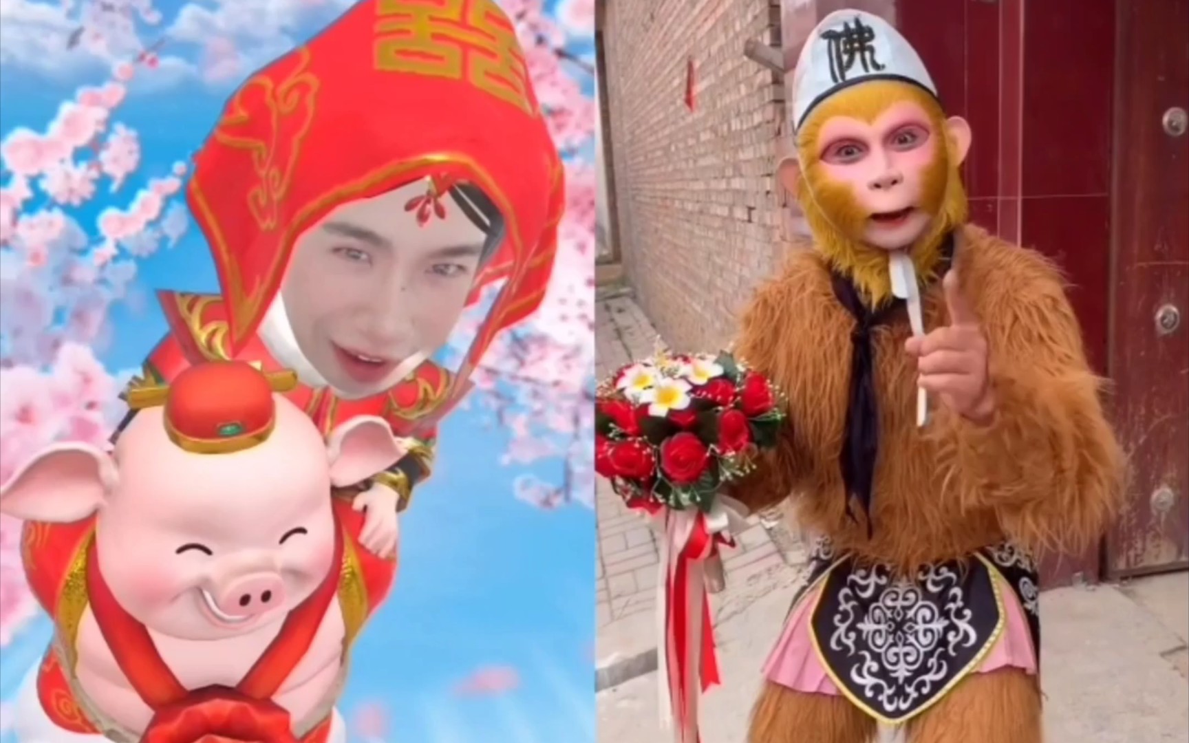 猴哥和八戒结婚了