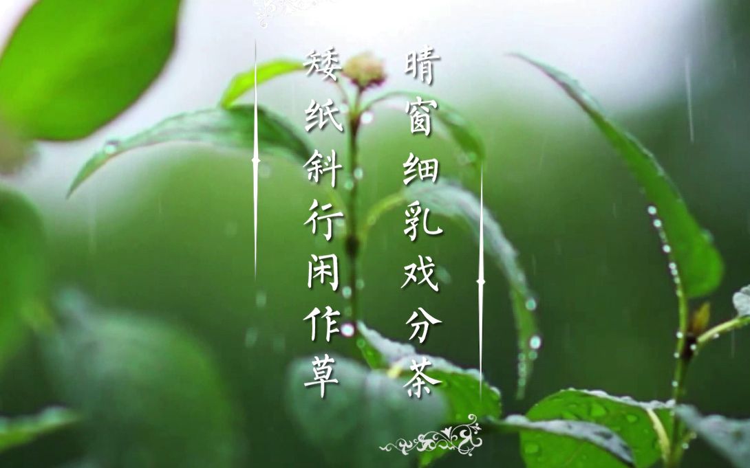 雨水:矮纸斜行闲作草,晴窗细乳戏分茶哔哩哔哩bilibili