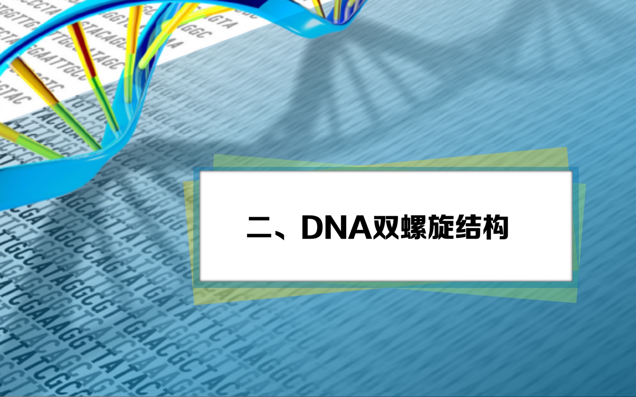 B站生物化学DNA二级结构哔哩哔哩bilibili