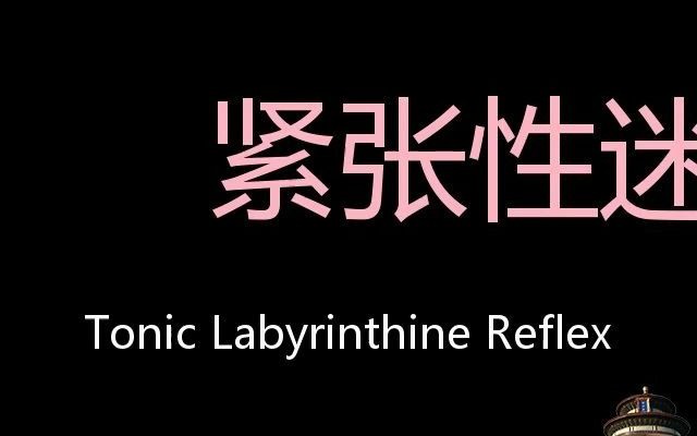 紧张性迷路反射 Chinese Pronunciation Tonic labyrinthine reflex哔哩哔哩bilibili