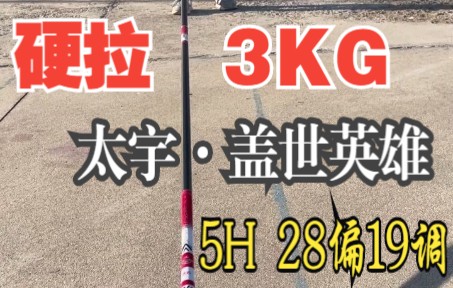 太宇盖世英雄5H6.3米硬拉3KG,腰力强劲轻松拉大鱼~哔哩哔哩bilibili