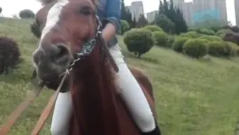 如家公园草地骑马脖